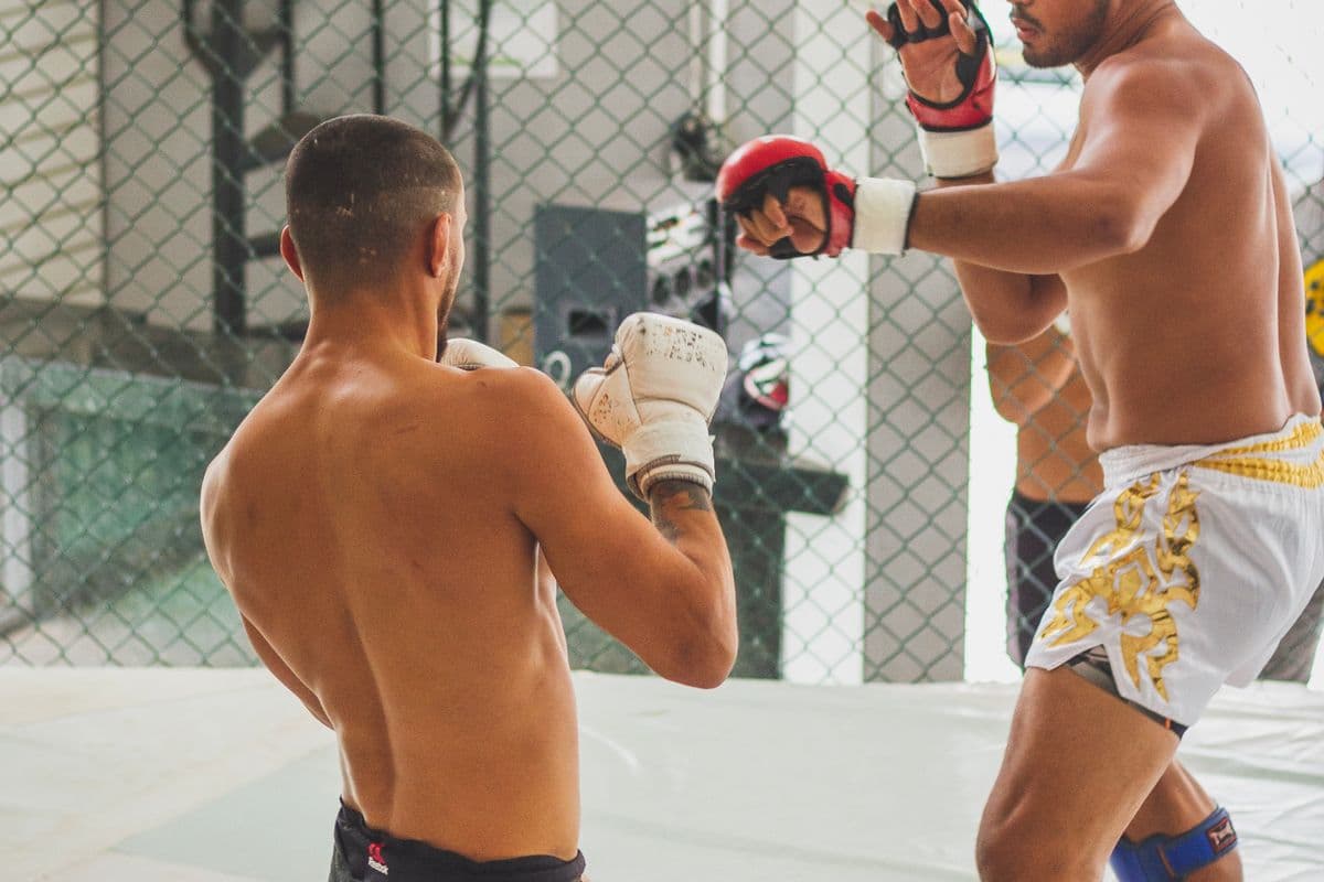 An MMA training session in the cage